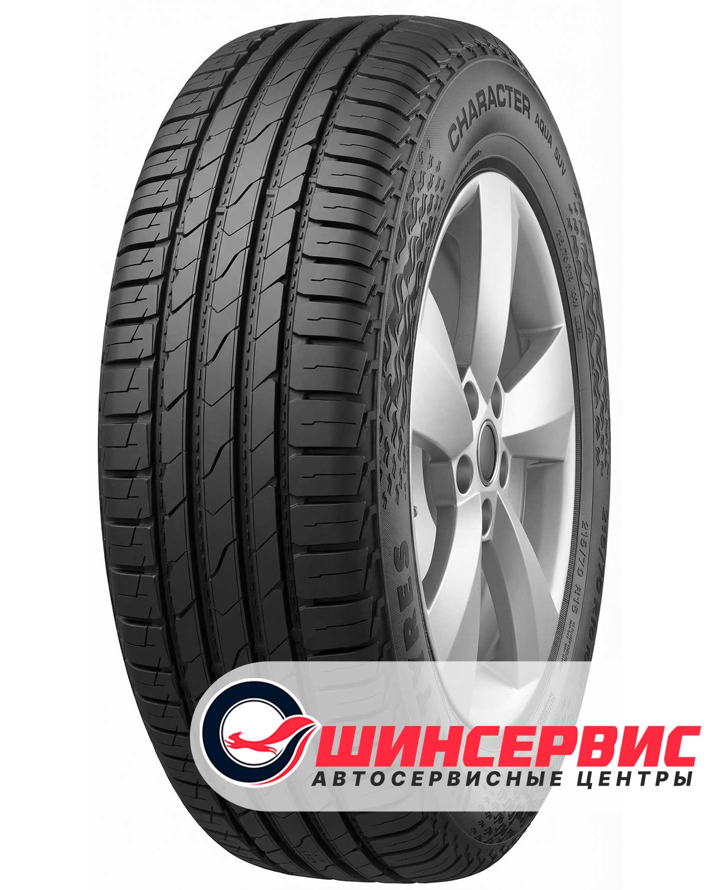 Шина летняя Ikon 245x65 r17 Character Aqua SUV (Nordman S2 SUV) 111H
