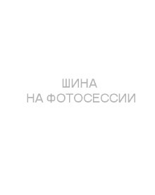 Автошина 235/65 R18 110 T Gislaved ArcticControl ArcticControl